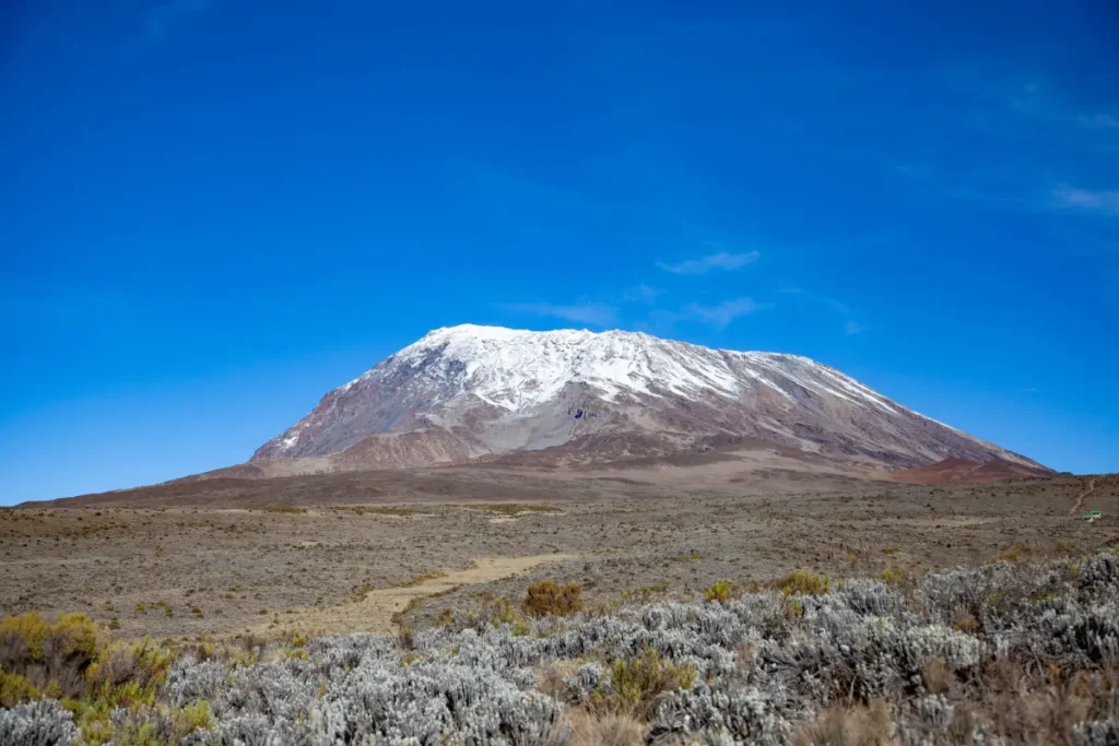 Gallery Mount Kilimanjaro