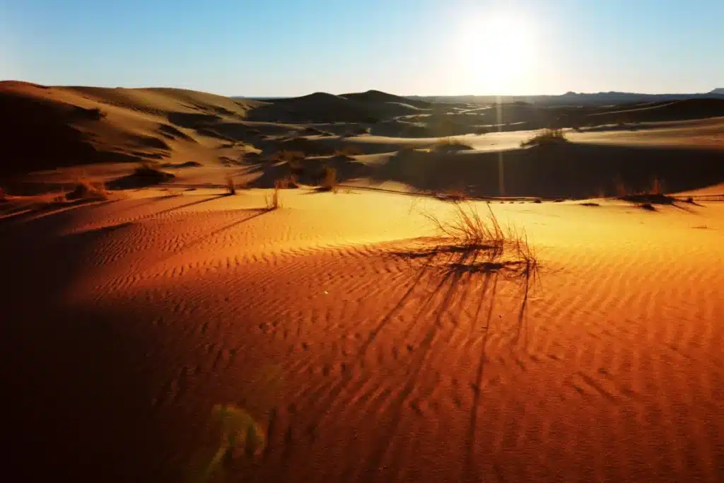 Gallery Sahara Desert