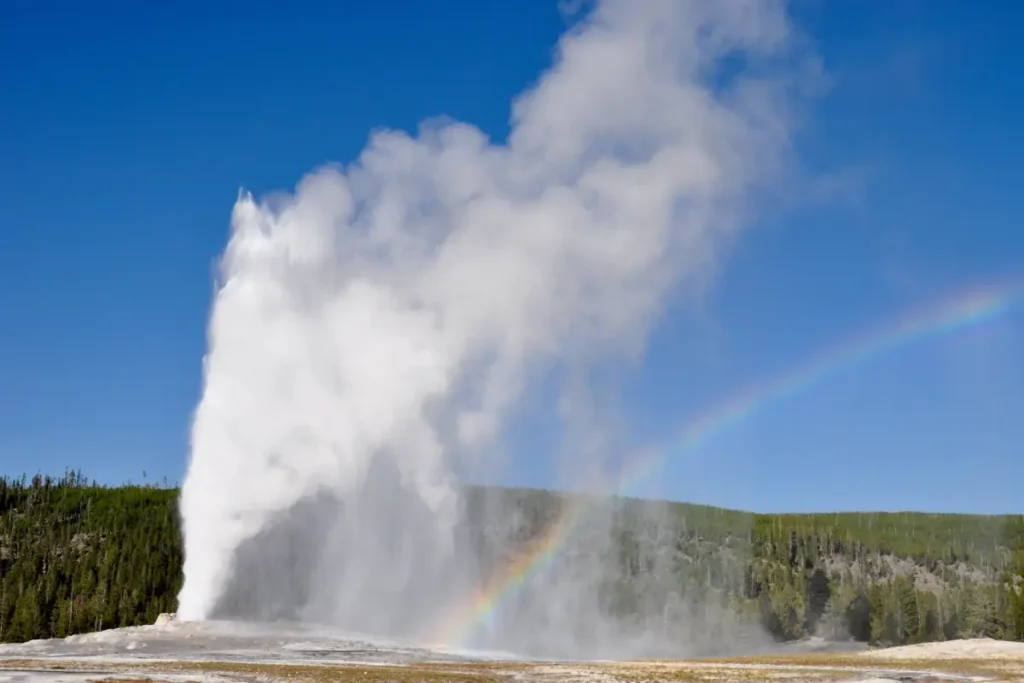 Gallery Yellowstone National Park