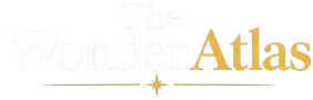 TWA Menu Logo